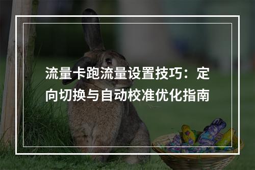 流量卡跑流量设置技巧：定向切换与自动校准优化指南