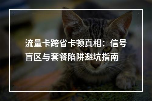 流量卡跨省卡顿真相：信号盲区与套餐陷阱避坑指南