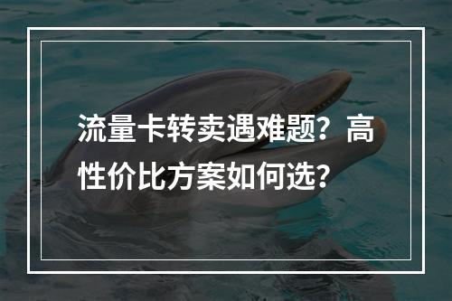 流量卡转卖遇难题？高性价比方案如何选？