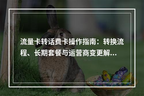 流量卡转话费卡操作指南：转换流程、长期套餐与运营商变更解析