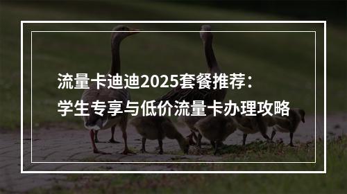 流量卡迪迪2025套餐推荐：学生专享与低价流量卡办理攻略