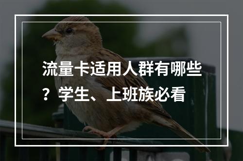 流量卡适用人群有哪些？学生、上班族必看