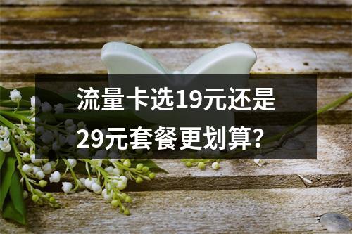流量卡选19元还是29元套餐更划算？