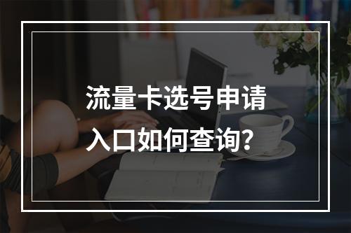 流量卡选号申请入口如何查询？