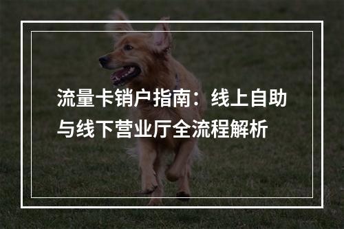 流量卡销户指南：线上自助与线下营业厅全流程解析