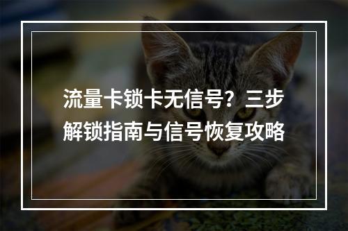 流量卡锁卡无信号？三步解锁指南与信号恢复攻略