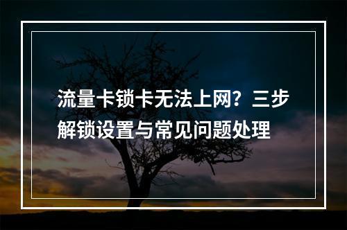 流量卡锁卡无法上网？三步解锁设置与常见问题处理