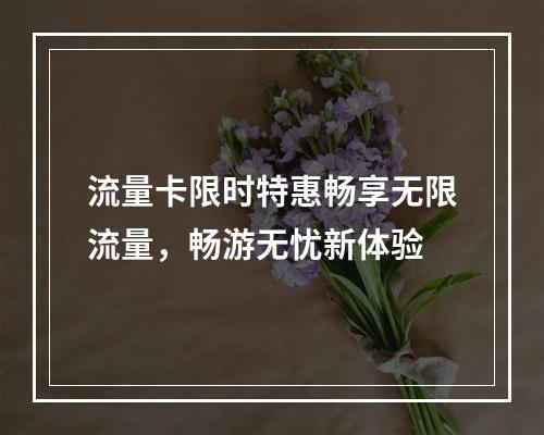 流量卡限时特惠畅享无限流量，畅游无忧新体验