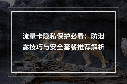 流量卡隐私保护必看：防泄露技巧与安全套餐推荐解析