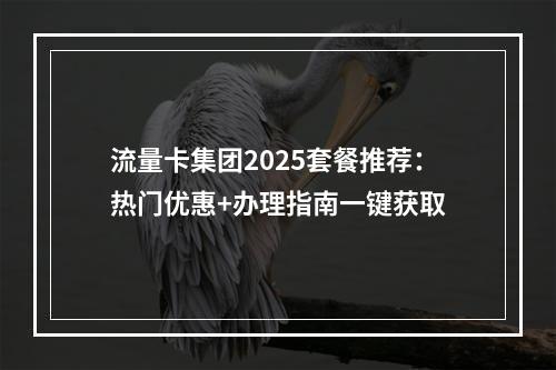 流量卡集团2025套餐推荐：热门优惠+办理指南一键获取