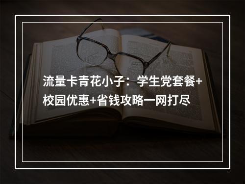 流量卡青花小子：学生党套餐+校园优惠+省钱攻略一网打尽