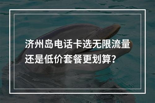 济州岛电话卡选无限流量还是低价套餐更划算？