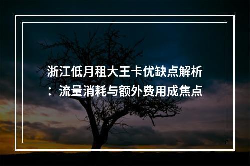 浙江低月租大王卡优缺点解析：流量消耗与额外费用成焦点