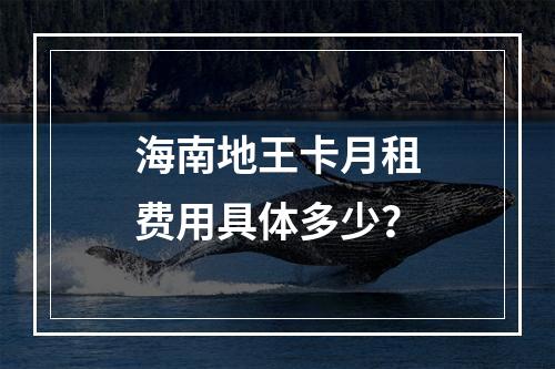 海南地王卡月租费用具体多少？