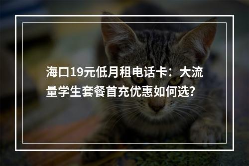 海口19元低月租电话卡：大流量学生套餐首充优惠如何选？