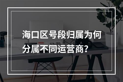 海口区号段归属为何分属不同运营商？