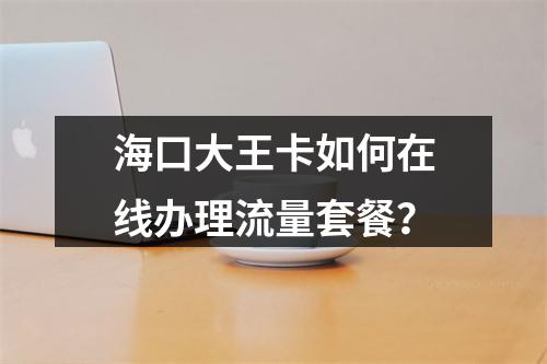 海口大王卡如何在线办理流量套餐？