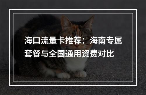 海口流量卡推荐：海南专属套餐与全国通用资费对比