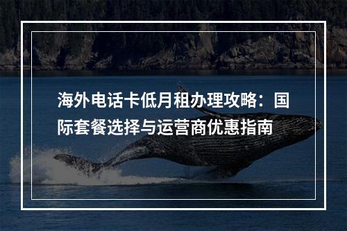 海外电话卡低月租办理攻略：国际套餐选择与运营商优惠指南