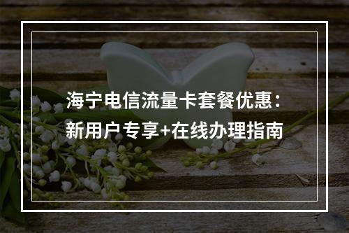 海宁电信流量卡套餐优惠：新用户专享+在线办理指南