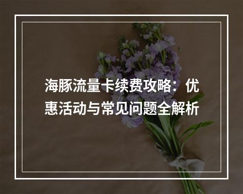 海豚流量卡续费攻略：优惠活动与常见问题全解析