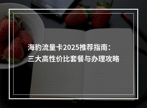 海豹流量卡2025推荐指南：三大高性价比套餐与办理攻略