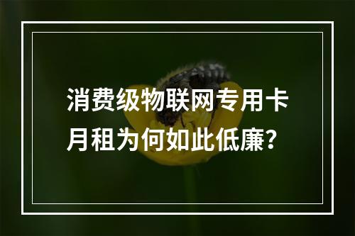 消费级物联网专用卡月租为何如此低廉？