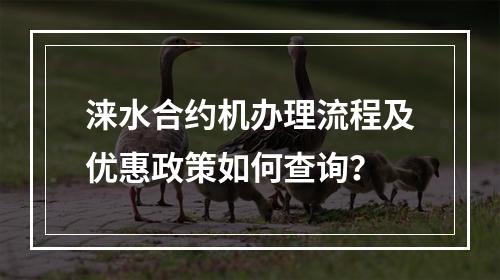 涞水合约机办理流程及优惠政策如何查询？
