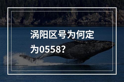 涡阳区号为何定为0558？