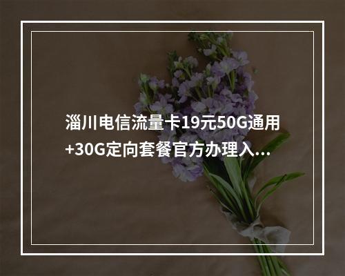 淄川电信流量卡19元50G通用+30G定向套餐官方办理入口