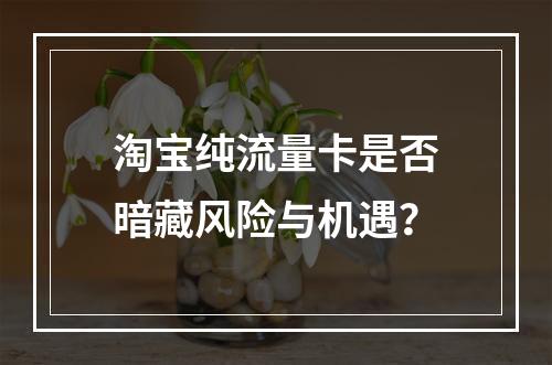 淘宝纯流量卡是否暗藏风险与机遇？