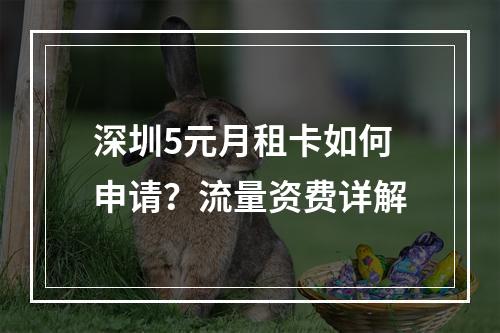 深圳5元月租卡如何申请？流量资费详解