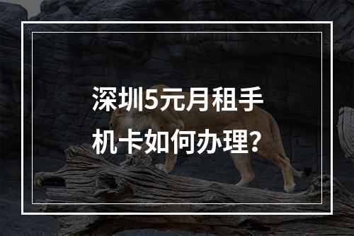 深圳5元月租手机卡如何办理？