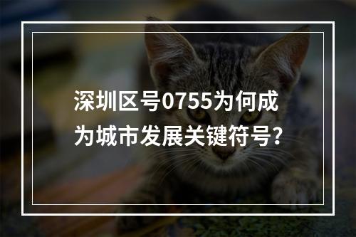 深圳区号0755为何成为城市发展关键符号？