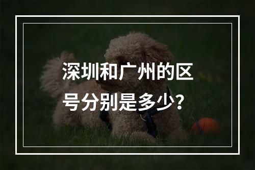 深圳和广州的区号分别是多少？