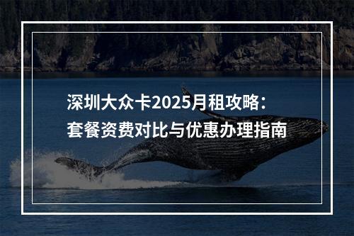 深圳大众卡2025月租攻略：套餐资费对比与优惠办理指南
