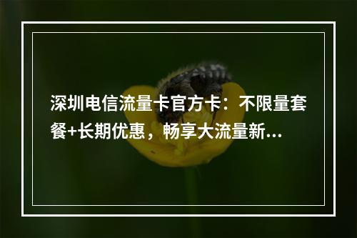 深圳电信流量卡官方卡：不限量套餐+长期优惠，畅享大流量新体验