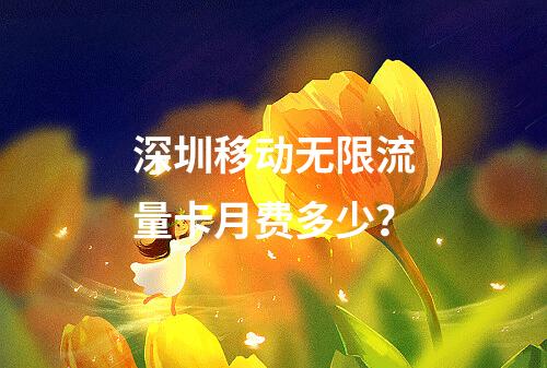 深圳移动无限流量卡月费多少？
