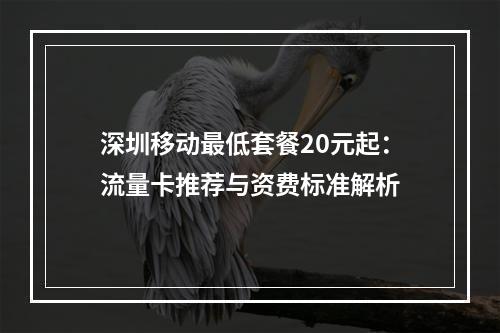 深圳移动最低套餐20元起：流量卡推荐与资费标准解析