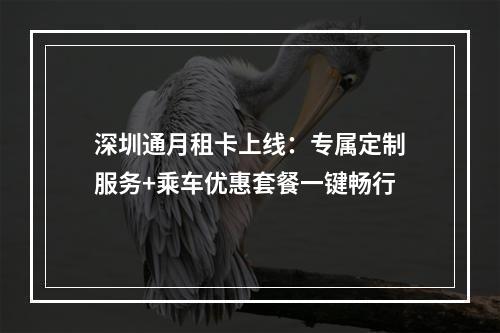 深圳通月租卡上线：专属定制服务+乘车优惠套餐一键畅行