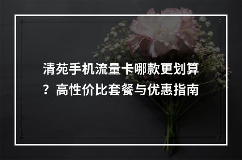 清苑手机流量卡哪款更划算？高性价比套餐与优惠指南