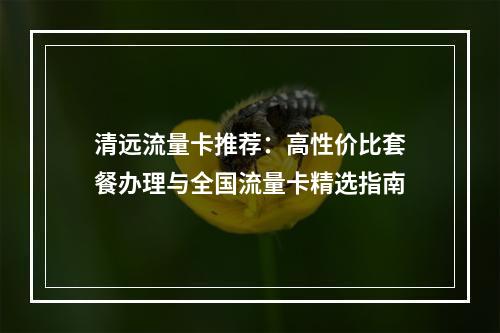 清远流量卡推荐：高性价比套餐办理与全国流量卡精选指南
