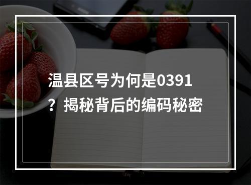温县区号为何是0391？揭秘背后的编码秘密