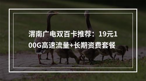渭南广电双百卡推荐：19元100G高速流量+长期资费套餐