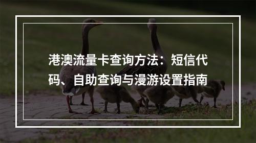 港澳流量卡查询方法：短信代码、自助查询与漫游设置指南
