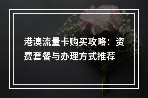港澳流量卡购买攻略：资费套餐与办理方式推荐