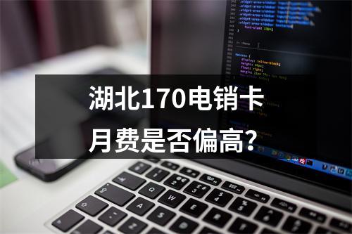 湖北170电销卡月费是否偏高？