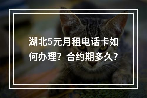 湖北5元月租电话卡如何办理？合约期多久？