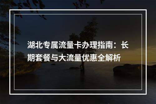 湖北专属流量卡办理指南：长期套餐与大流量优惠全解析