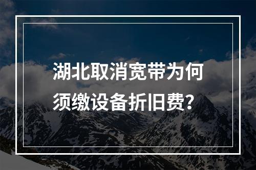 湖北取消宽带为何须缴设备折旧费？